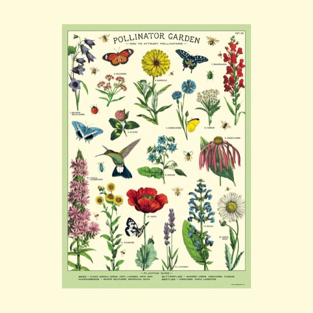 Pollinator garden vintage style poster by Cavallini Papers & Co